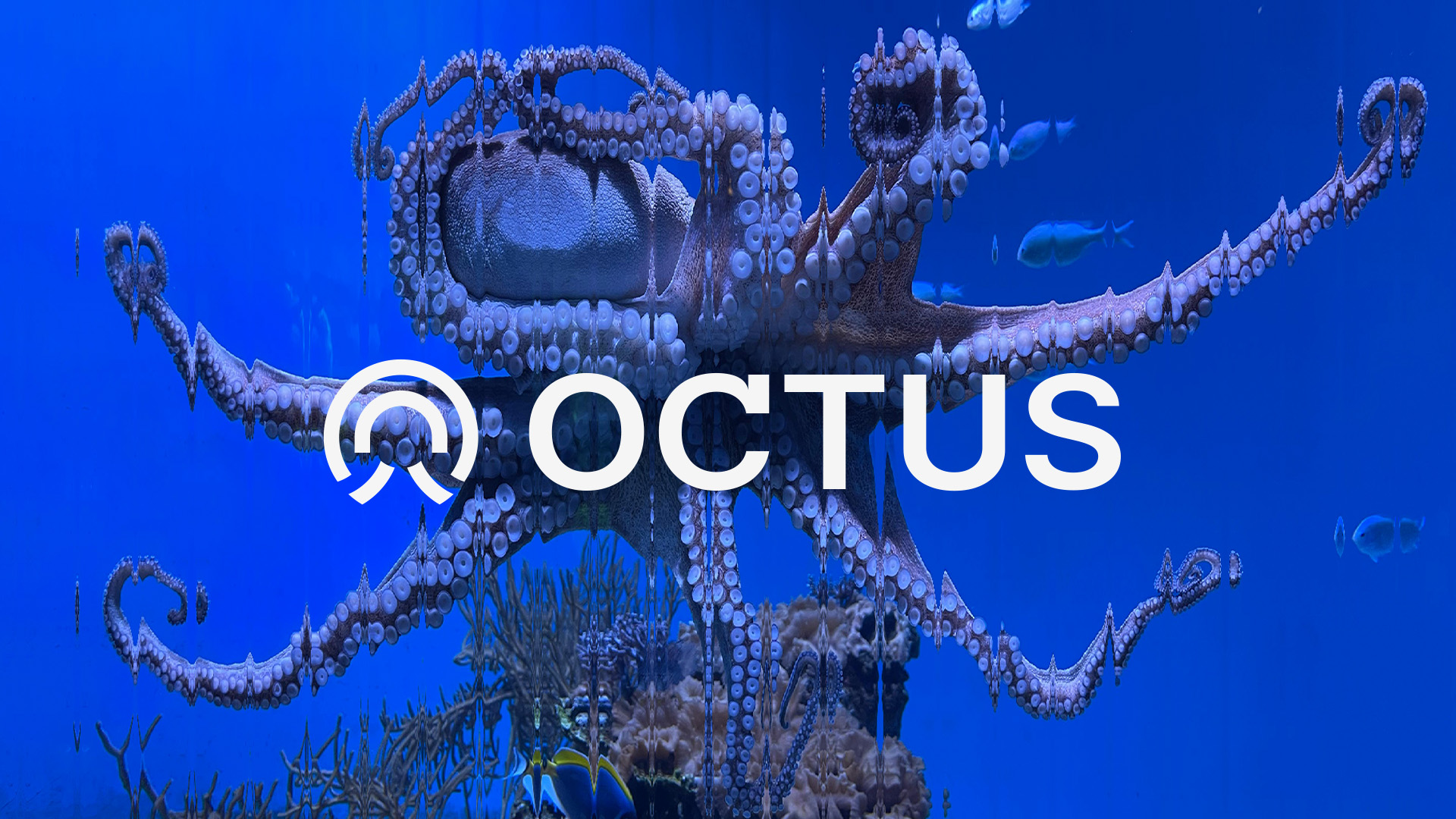 octus
